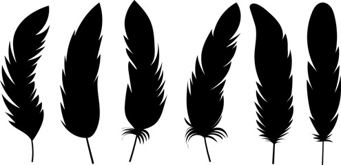 set of bird feathers on white background, vector