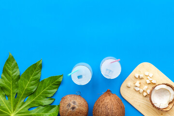 Coconut milk cocktail with ice in two glasses with green palm leaves