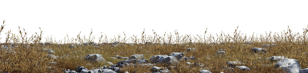 various stones, between which grass grows on a transparent background - 3d Illustration