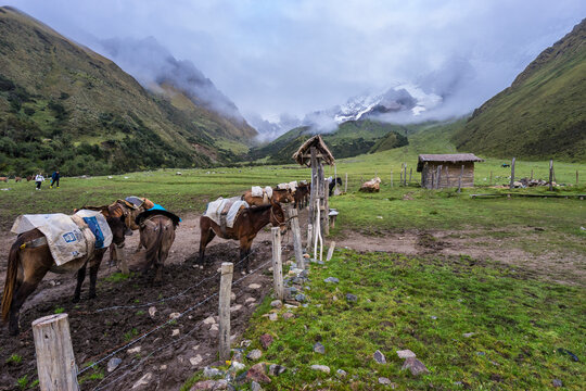 Soraypampa camping area, Salkantay trek, Mollepata, The Andes, Cusco, Peru