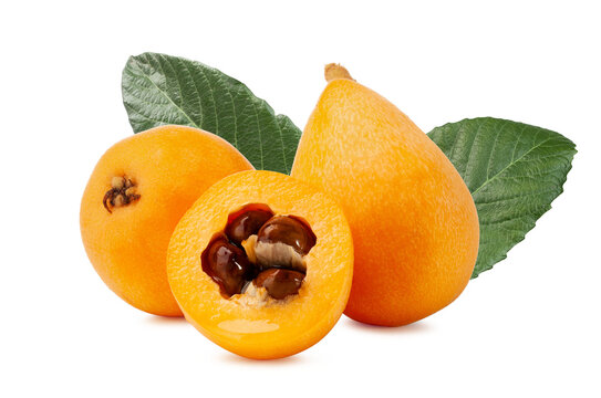 fresh loquat fruit with leaf isolated on white background