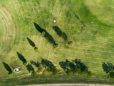 Green playing field and parkland with trees shot from above