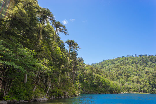 El Toro Lake, Huerquehue National Park, Pucon, Chile