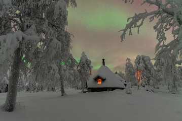 Typical wooden illuminated hut under the Northern Lights (Aurora Borealis) in the frosty forest with trees covered with snow, Pallas-Yllastunturi National Park, Muonio, Lapland, Finland