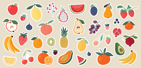 Stickers big collection with fruits, vector illustration, decorative design
