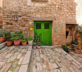 Fototapeta na wymiar The door of an old house in Civitacampomarano, a historic town in the state of Molise in Italy.