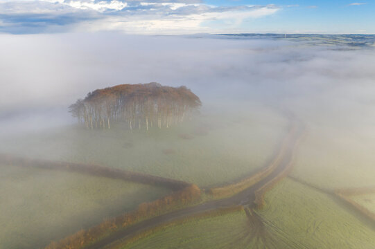 Aerial view of Cookworthy Knapp (The Nearly Home Trees) in winter, near Lifton, Devon