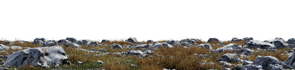various stones, between which grass grows on a transparent background - 3d Illustration