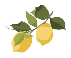 Lemon illustration, a fresh, refreshing taste, high in vitamins, yellow fruit.