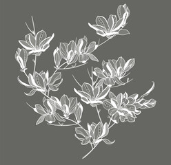 lace flower magnolia, bouquet, vector illustration