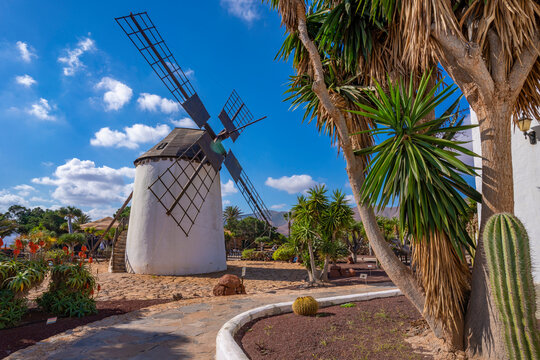 View of traditional windmill, Museum (Museo) del Queso Majorero, Antigua, Fuerteventura