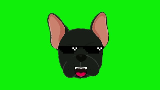 cute bulldog expression animation, pixel art, with green screen background, perfect for animal lovers, pet shops, etc.