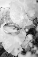 boda, flor, ramo, naturaleza, amor, rosa, decoraciones, anillos, alianzas
