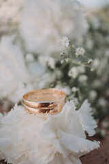 boda, flor, ramo, naturaleza, amor, rosa, decoraciones, anillos, alianzas