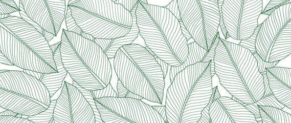 Tropical leaf wallpaper, luxury botanical nature leaf design, vector background with green banana leaf lines. Hand drawn, suitable for fabric design, print, cover, banner and invitations.