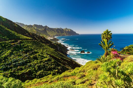 Green Paradise