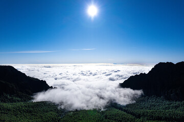 Aerial sunrise view above the clouds on Tenerife - Corona Forestal