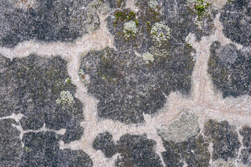 old weathered concrete wall texture with lichen and moss. Abstract background and texture for design.