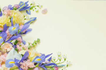 beautiful spring flowers on pastel background