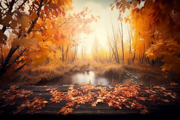 autumn forest 