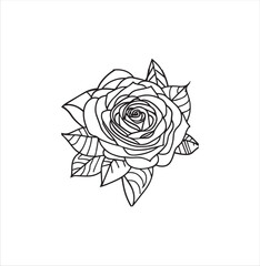 A beautiful rose vector line art for coloring page