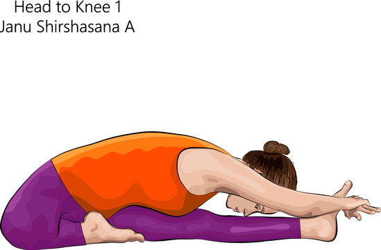 "Janu Shirshasana" Images – Browse 63 Stock Photos, Vectors, and Video ...