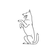 Hand drawn vector abstract graphic line art collection with diverse cute funny cartoon dogs characters.Vector illustration of funny cartoon different breeds dogs in trendy flat style. Line dog icon.