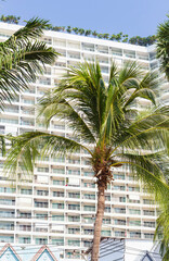 Architectural Multi-storey building among palm trees. Modern asian architecture.Vacation,holiday