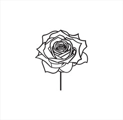 A cute rose vector art work.
