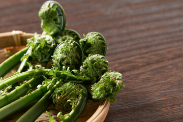 こごみ　山菜イメージ