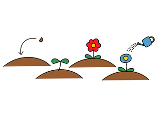 種まきから植物の成長のイラスト