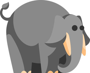 Cute Animal Elephant