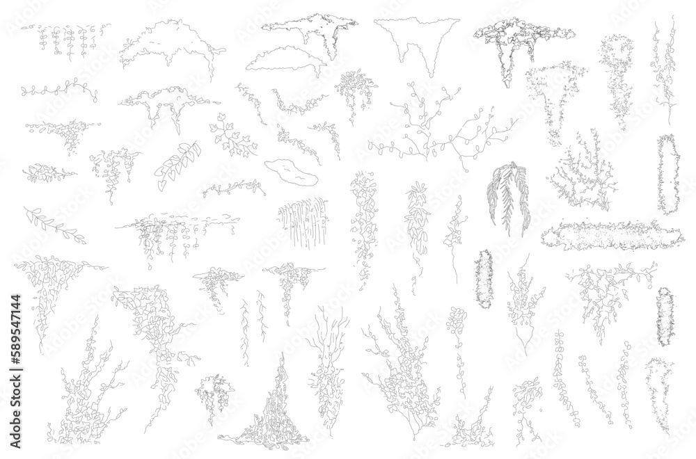 Poster vines tropical plant drawing, side view, set of graphics trees elements outline symbol for architect