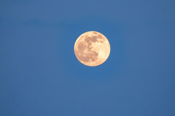 A full Moon on the blue sky, closeup.