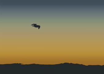 Fototapeta na wymiar silhouette of the flying bird in nature at sunset, vector illustration.