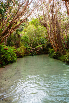 Eli Creek