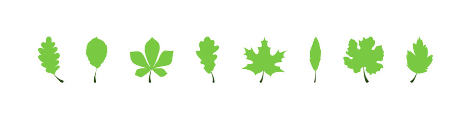 Leaf vector icon. Green leaves different trees. Leaf. Vector illustration