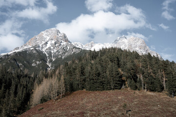 Amazing spring scenery in the mountains with colorful and pink flowers before sunset.