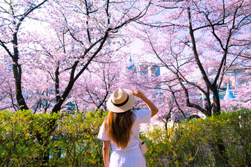 Asian lady travel in cherry blossom park in Seoul city with Sakura flower and Lotte World amusement park background.