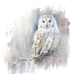 White Owl in a Winter Wonderland: A Majestic Watercolor Painting with Snowy Background