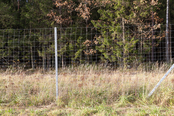metal fencing in the forest to protect the territory from wild animals