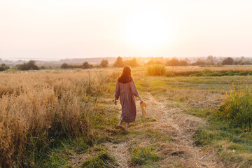 Stylish woman with straw hat walking at oat field in sunset light, back view. Atmospheric tranquil...