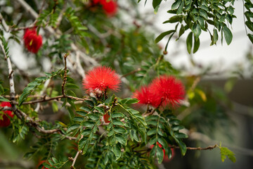 屋内ガーデニングの風景