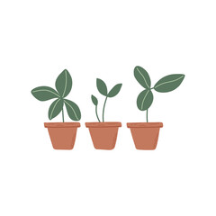 Pots with sprouts. Set of simple plants with green leaves in brown pots. Green sprouts growing out from soil. Hand drawn vector illustration.