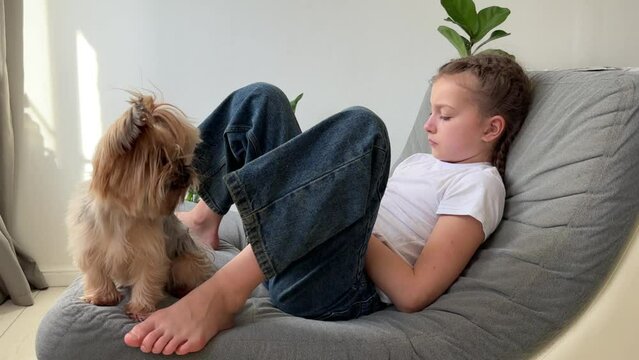 a little teenage girl sits in a chair with a dog, looks at the smartphone screen and chats online with friends. Cute smiling child with pet and mobile phone are relaxing together at home. child and te