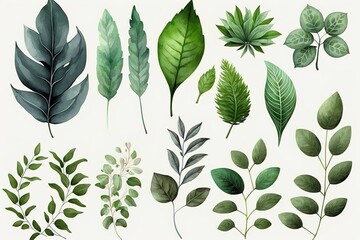 Watercolor elements of green leaves, greenery, artistic foliage, natural leaves, herbs in a watercolor style. decorative beauty illustration for design. generative AI