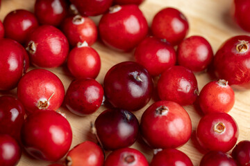 Red ripe cranberries harvested in swamps
