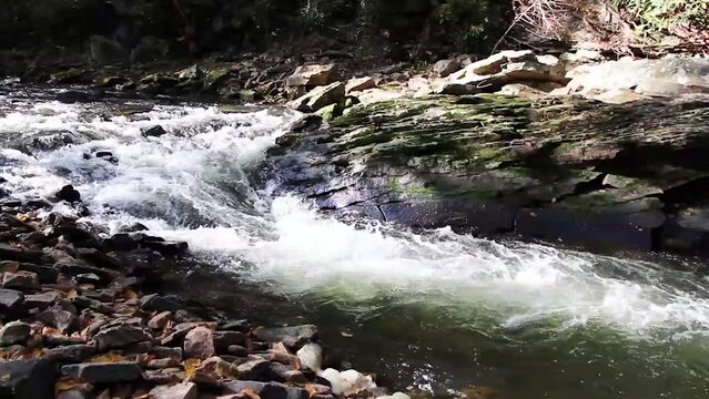 Mountain Stream Cascading Through Natures Landscape Trough Creek  Raystown Huntingdon County Pennsylvania USA