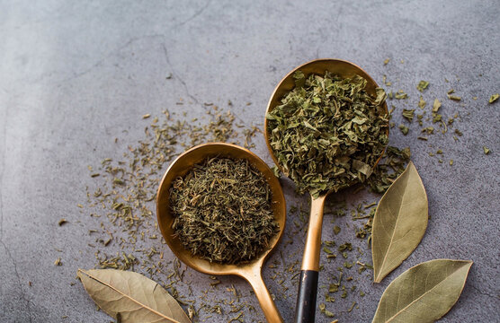 Fragrant spices. Dried parsley, dill, rosemary, garlic, and bay leaf on a gray background. Free space.