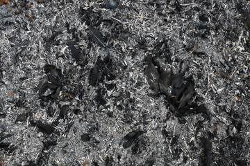 gray and black ashes from leaves and wood for pattern and background.